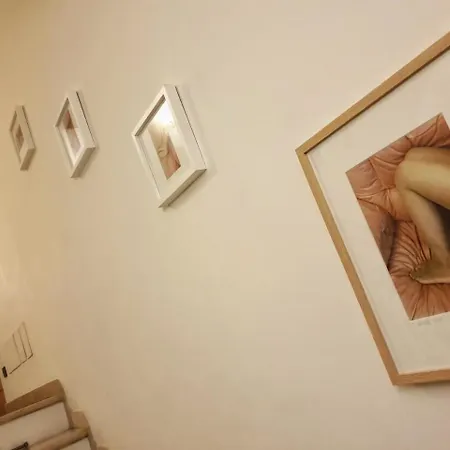 Delle Drapperie Bolonia
