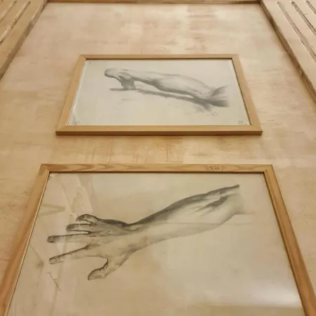 德拉佩里旅馆 3*