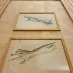 Delle Drapperie 3*