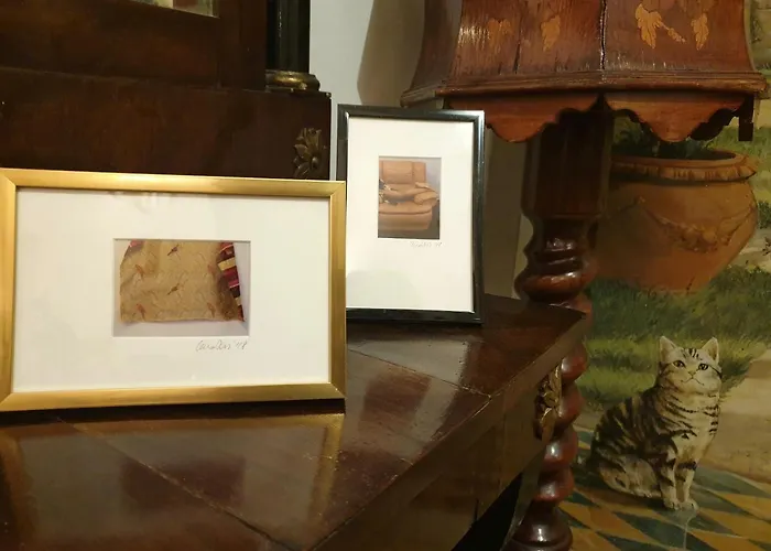 호텔 Delle Drapperie